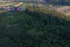 DCIM\100MEDIA\DJI_0131.JPG